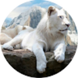 Meet your Posher, Milyn